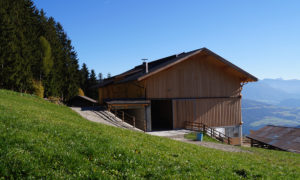 Stallbau